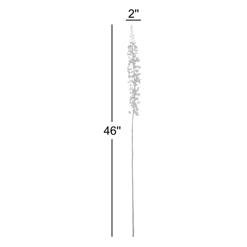 46-Inch Eremurus Stem