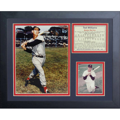 Ted Williams Framed Memorabilia