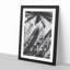 Palm Tree Shadows - Framed Print-55577936-55577941