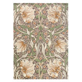 Hand Tufted Wool Floral Area Rug in Brown