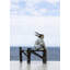 Sunset at the Pier Woman Figurine