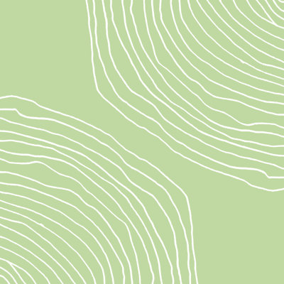 Sage Lines - Wrapped Canvas Art Prints