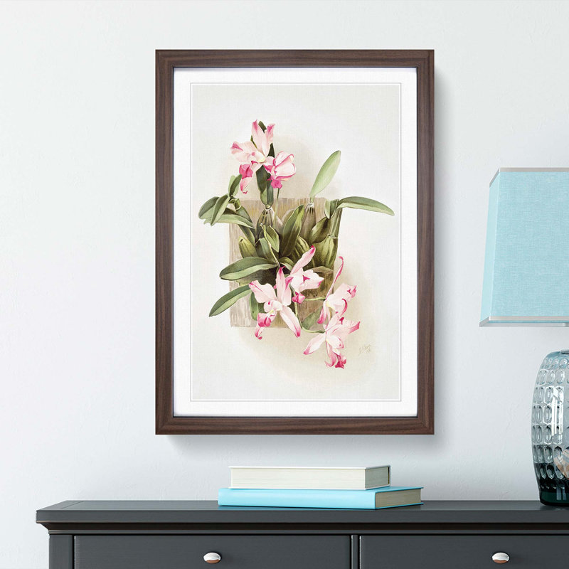 Magnolia Flowers Illustration Tab. 10 by Frederick Sander - Picture Frame Painting Print, Walnut, 60cm H x 40cm W x 2cm D