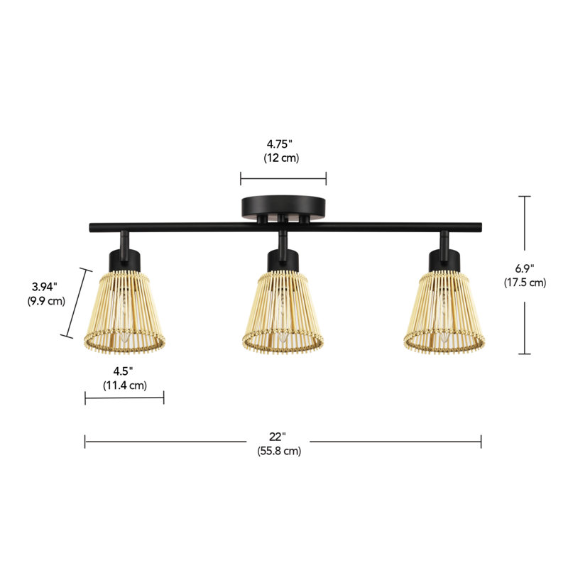 Ensemble de rail d'éclairage à 3 lumières Afreena, Noir, H 6,88 po x L 22 po x P 4,75 po