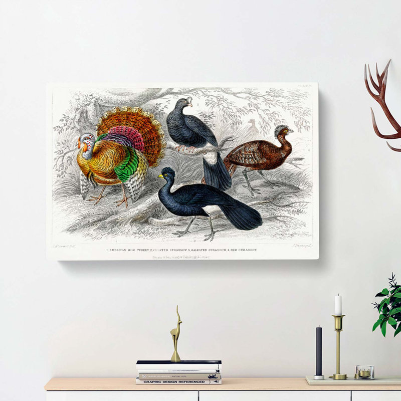 Wild Turkey and Curassow Birds by Oliver Goldsmith - Wrapped Canvas, 40cm H x 60cm W x 3cm D