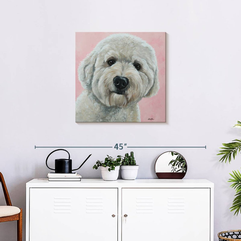 Crowle Labradoodle Hank sur fond rose, H 24 po x l 24 po