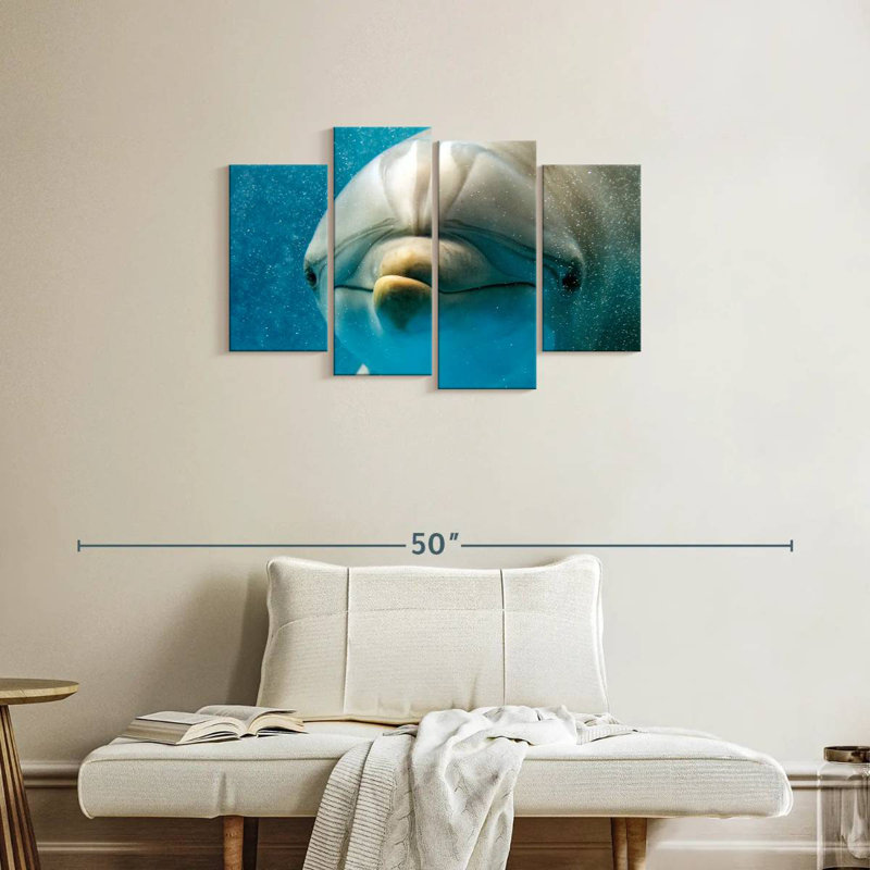 Brampt Nosy Dolphin