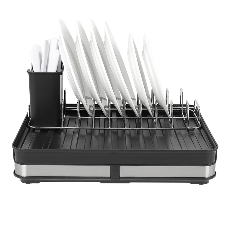 Linh Plastic Countertop Dish Rack