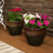 Chalet 11.75" x 11.75" x 9.5" Round Ceramic Outdoor Planter 2-Count - Imperial Blue-765208648-765246696