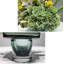 Arrangement floral contemporain minimaliste en sapin artificiel dans un vase