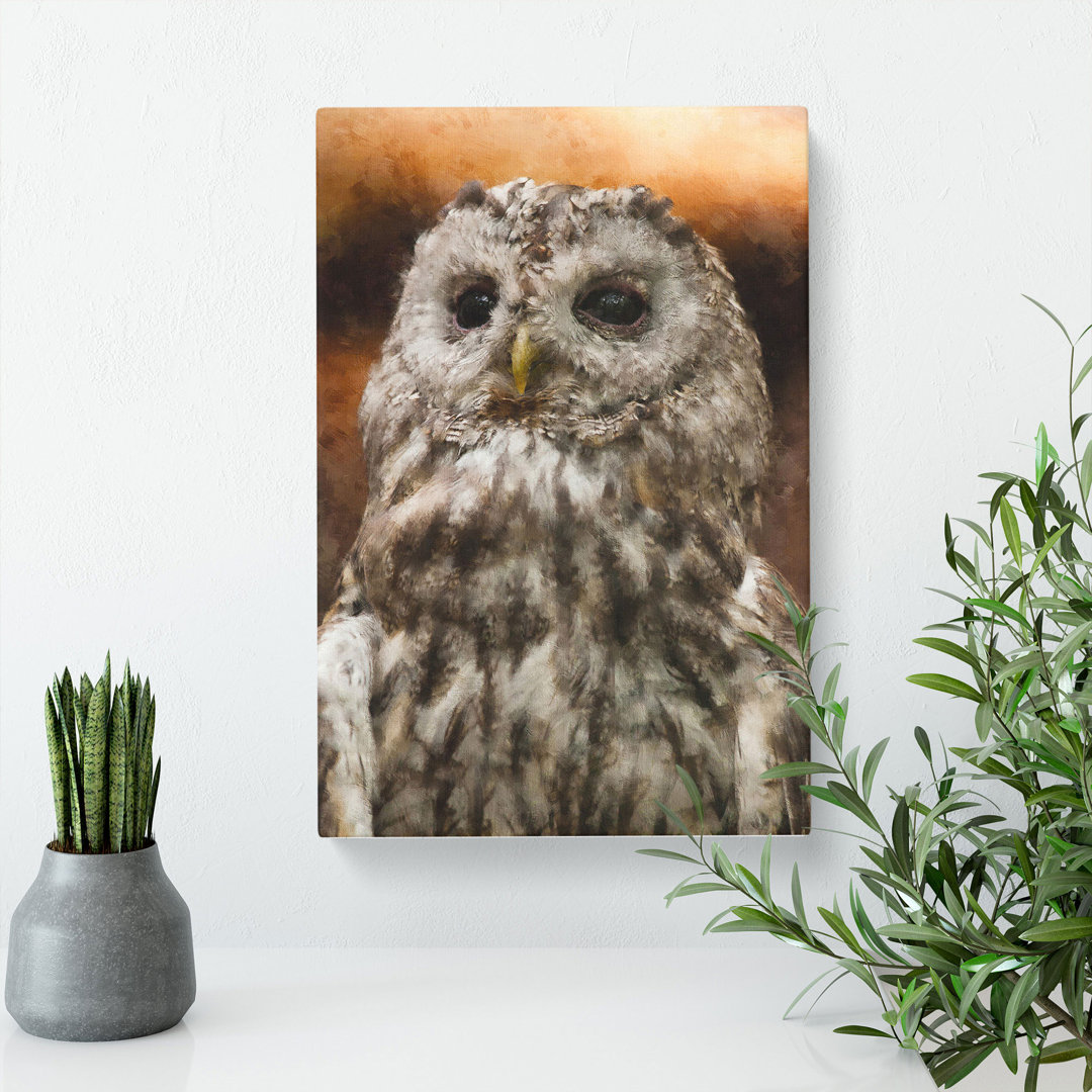 Tawny Owl Vol.1 - Wrapped Canvas