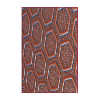 Indoor Rug