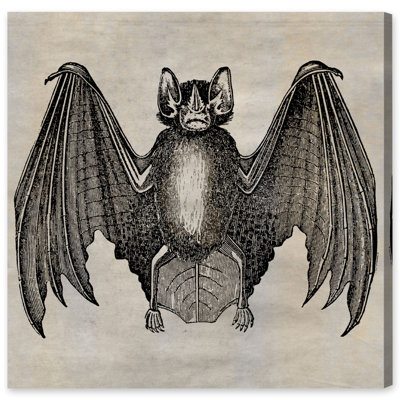 «Bat» par Oliver Gal, reproduction sur toile