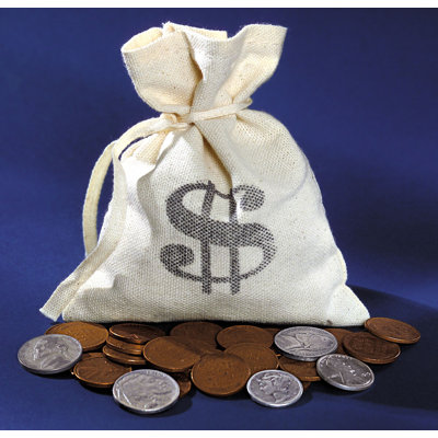 American Coin Treasures Metal Cash Bag