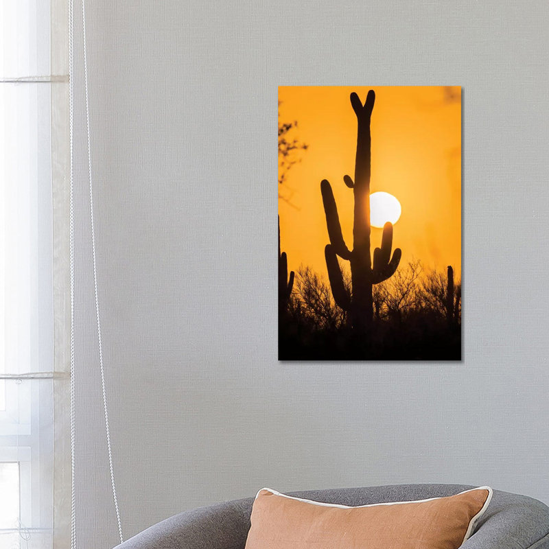USA, Arizona, Saguaro National Park. Saguaro Cactus At Sunset. by Jaynes Gallery - Wrapped Canvas Print