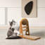 Scratching Post