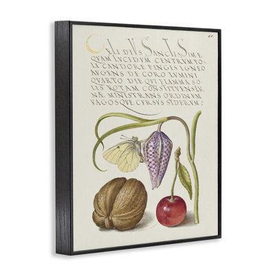 Art giclée de Woodland Flora Study par Melissa Wang