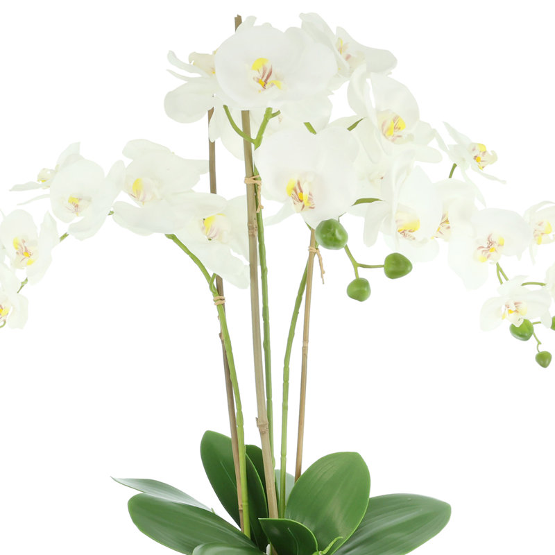 Silk Orchid Faux Floral in Vase