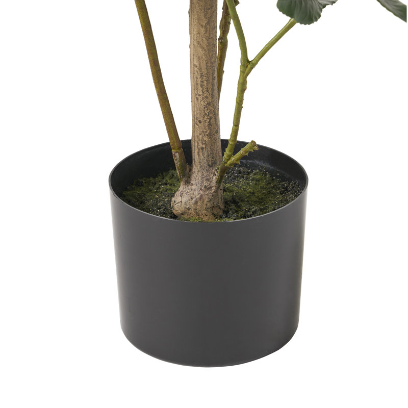 Laurier artificiel en pot Abernethy, H 47 po x l 19 po x P 19 po