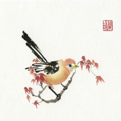 Just A Bird