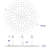 Rain Rain Shower Head 1.8 GPM GPM-12517391