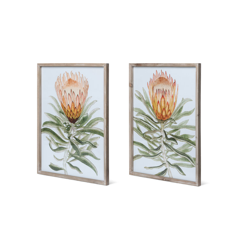 Protea Watercolor Prints in Wood Frames