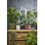 varen 38 cm H Faux Plant
