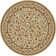 Oriental Indoor Rug