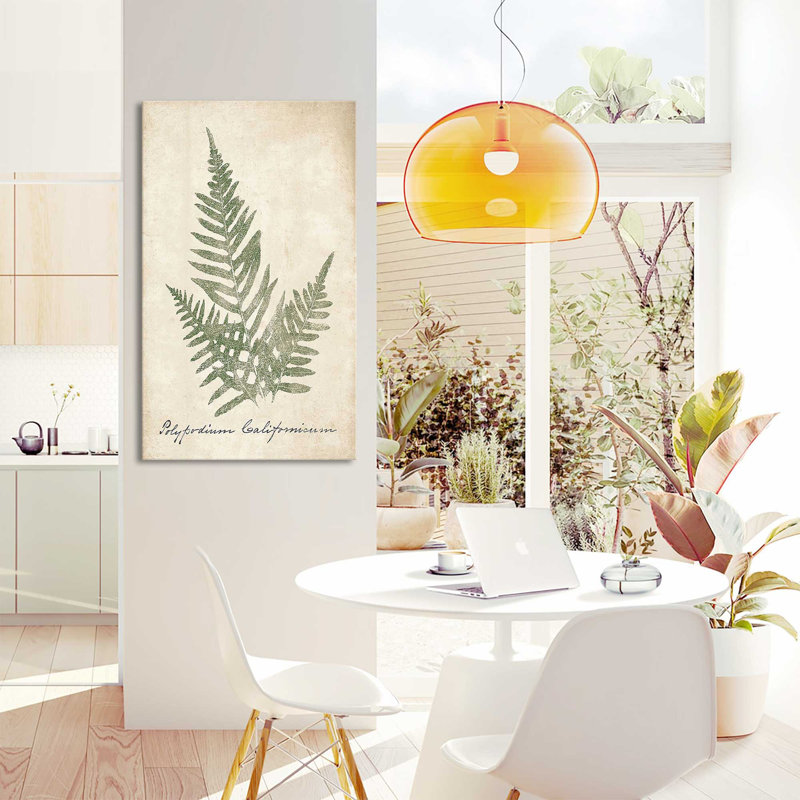 Vintage Ferns XI No Border (Vertical) by Wild Apple Portfolio - Print, Wrapped Canvas, 60" H x 36" W x 1.5" D