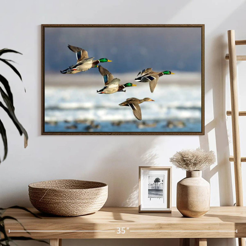 Flock Of Ducks, 25" X 17", Floating Frame Walnut