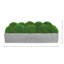 Nature's Nostalgia Moss Plant in Fiberstone Planter-1850721373-1824800356