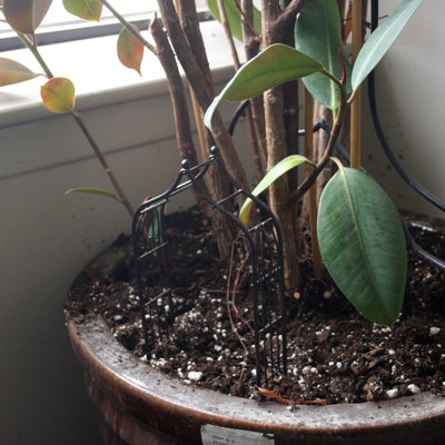 Weather Resistant Metal Fairy Garden