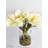 Amaryllis Arrangement in Vase