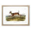 Long-Tailed Deer by J.W. Audubon - Picture Frame Painting Print-55759964-55759965