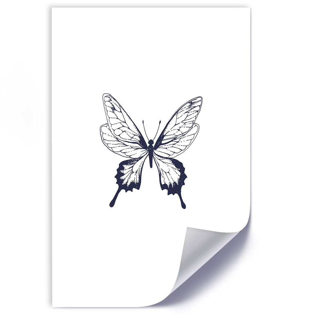 Grafikdruck Drawn Butterfly