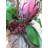 Protea Arrangement in Vase