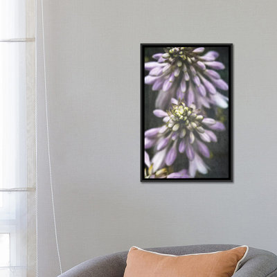 " Lavender Flowers " by Olivia Joy StClaire