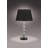 2pc Modern Sleek Table Lamp Reflective Spheres Catch the Eye
