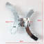 Alvardo LED Flush Mounted Sconce