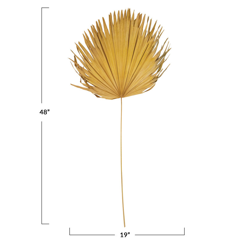 Feuille de palmier séchée Anahaw, Jaune
