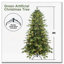 Arbre de Noël vert 5 pi-1826299568-1826299570