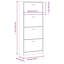 12 Pair Flip Down Shoe Storage-1524619310