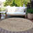 Machine Washable Indoor/Outdoor Xhevrie Brown Rug-1719511409