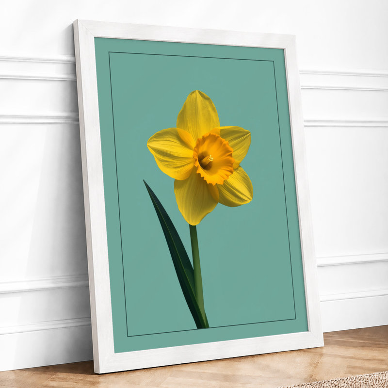 Single Daffodil Botanical - Framed Print, A1 - 84.1 x 59.4 cm, White