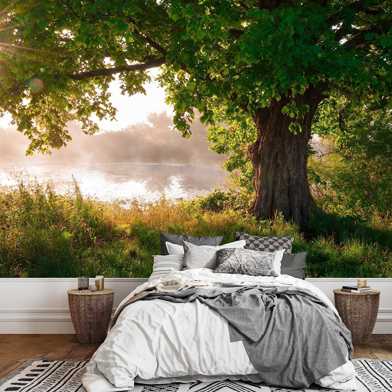 Oak Tree in Full Leaf in Summer Wall Mural, 66" L x 96" W