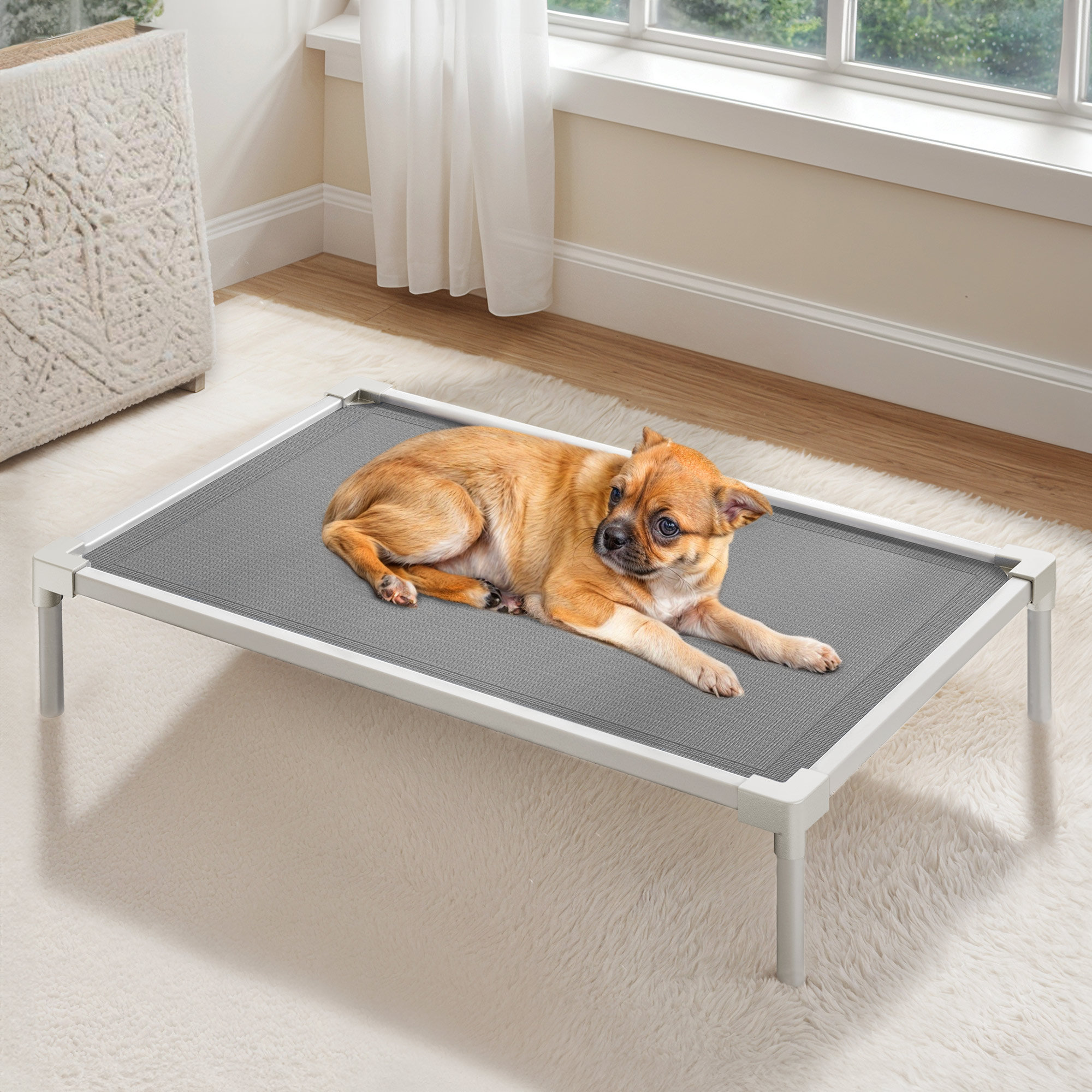 Tucker Murphy Pet™ Elevated Dog Bed with Non-slip Feet & Reviews | Wayfair
