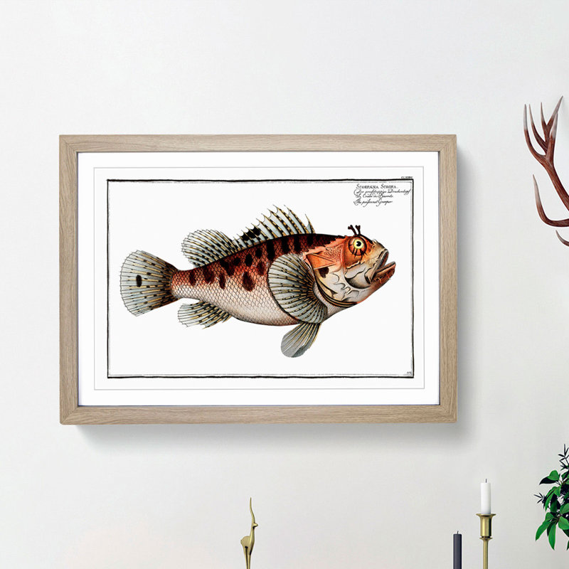 Poisonnet Grouper Fish by M.E. Bloch - Picture Frame Painting Print, 27cm H x 36cm W x 2cm D, Oak Framed