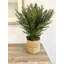 Faux Herbs Plant in Wicker/Rattan Basket