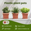 Planter-1849224909-1849224915-1849224924