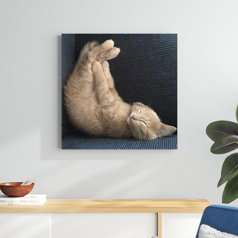 Cat Yoga VII, H 30 po x l 30 po